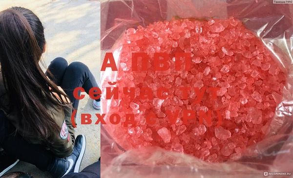 прущие грибы Ступино