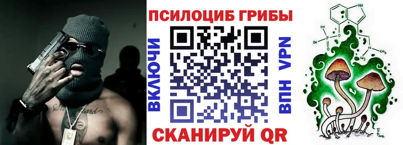 Галлюциногенные грибы мухоморы  площадка какой сайт  Камбарка 